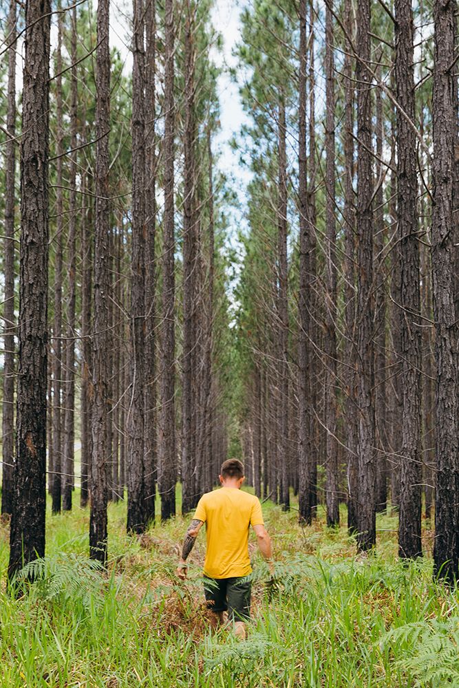 A Man Is Walking Into The Forest On A Grass art print by Evgeny Vasenev for $57.95 CAD
