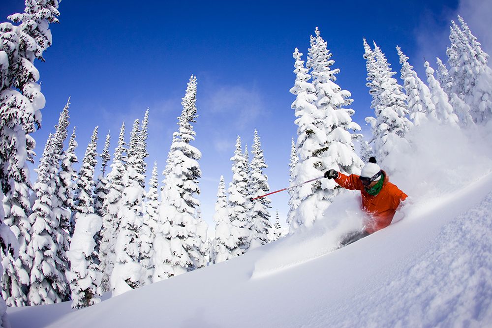 Male Skier Makes A Perfect Turn In Untouched Powder art print by Gabe Rogel for $57.95 CAD