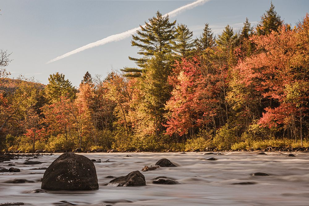 Vibrant Fall Foliage Along The Dead River, Maine art print by Chris Bennett for $57.95 CAD