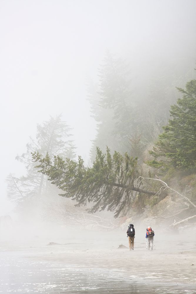 Two Hikers Backpack The North Coast In Heavy Misty, Olympic National Park, Washington. art print by Ethan Welty for $57.95 CAD