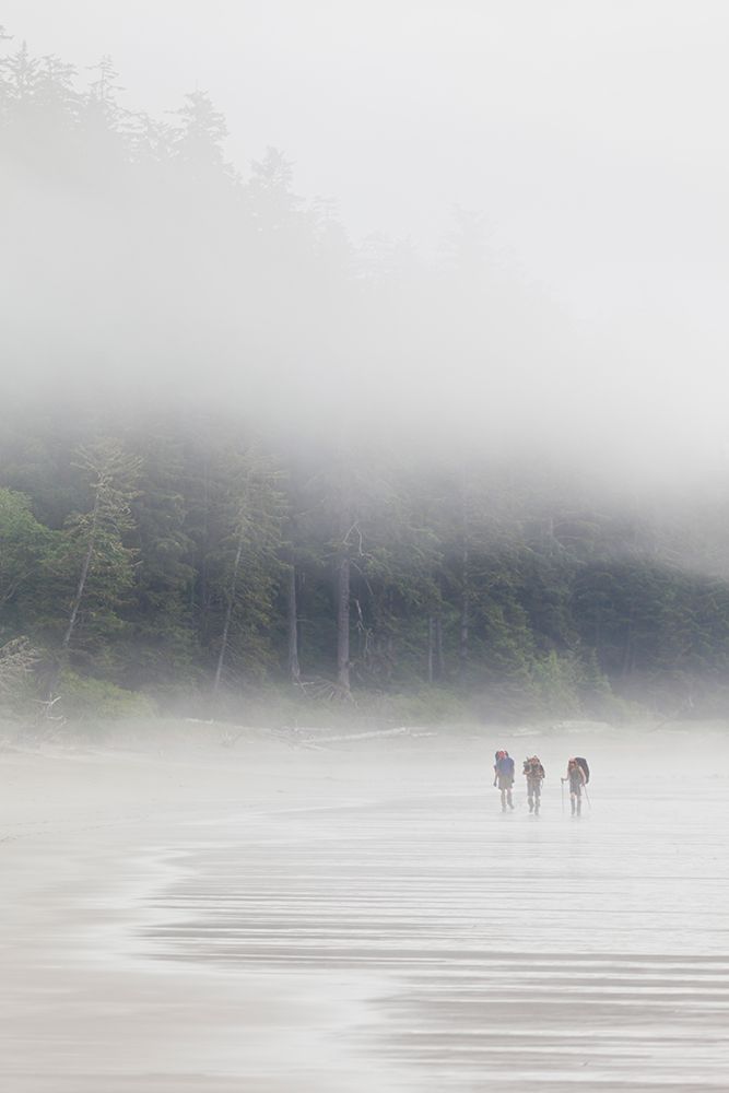 Hikers On A Beach In The Mist Near Bonilla Point, West Coast Trail, British Columbia, Canada. art print by Ethan Welty for $57.95 CAD