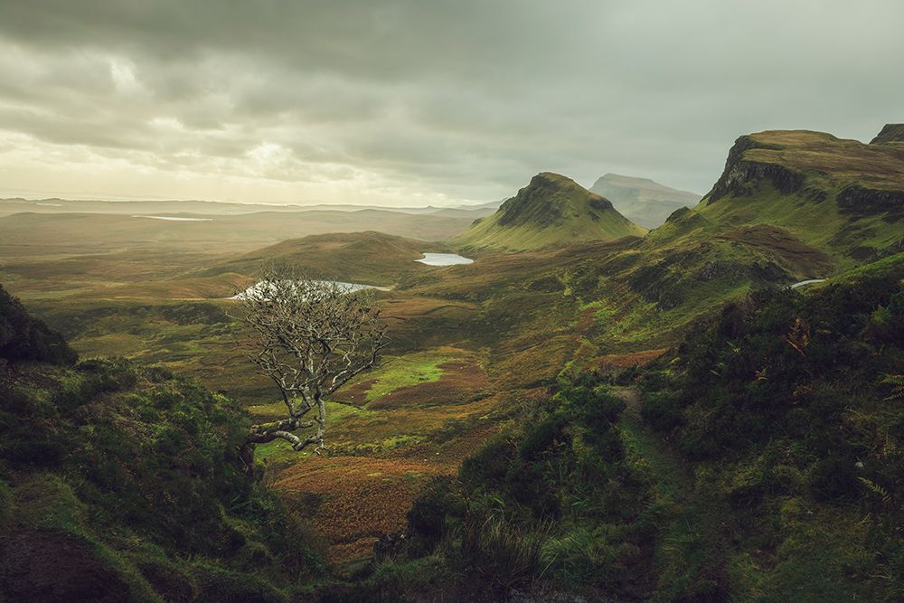 Old Valley In Highlands Scotland art print by Nestor Rodan for $57.95 CAD