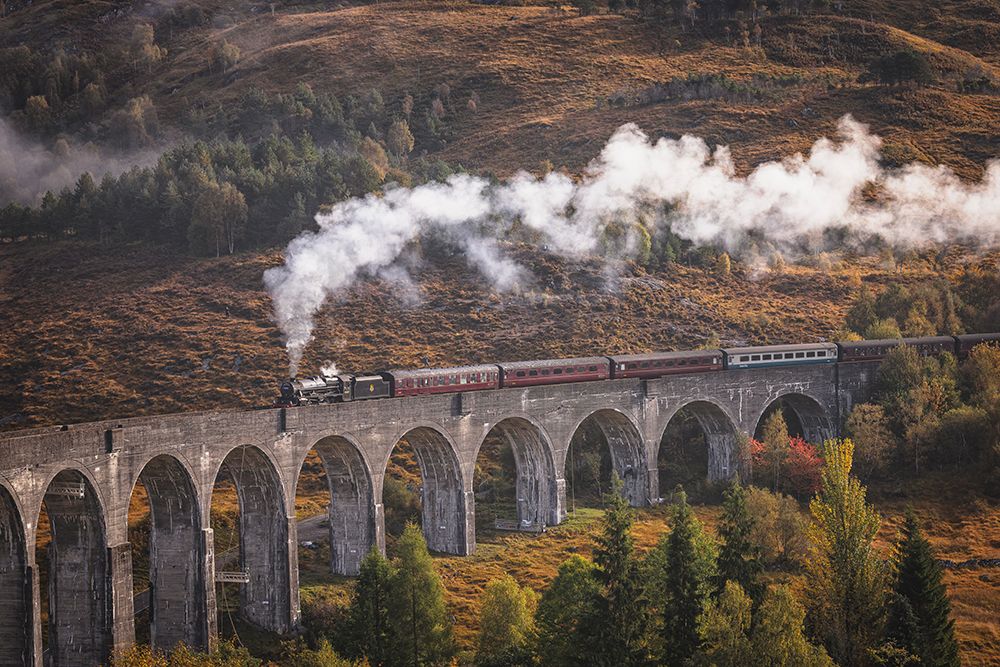 The Worlds Most Scenic Train Through The Scottish Highlands art print by Nestor Rodan for $57.95 CAD