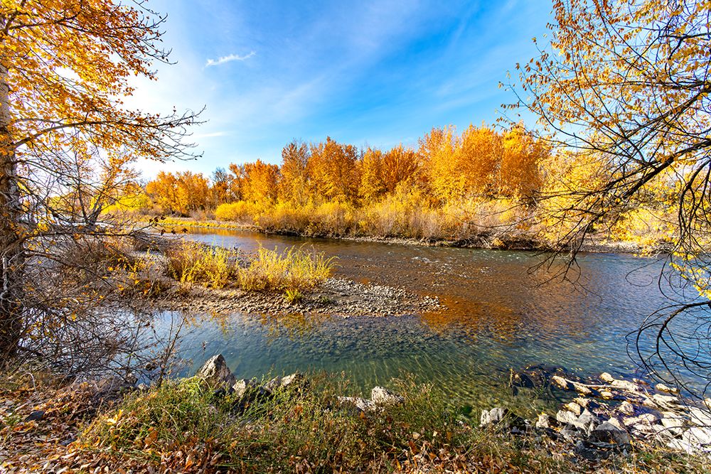 Fall Color On The Boise River Idaho art print by Nature Photo Northwest for $57.95 CAD