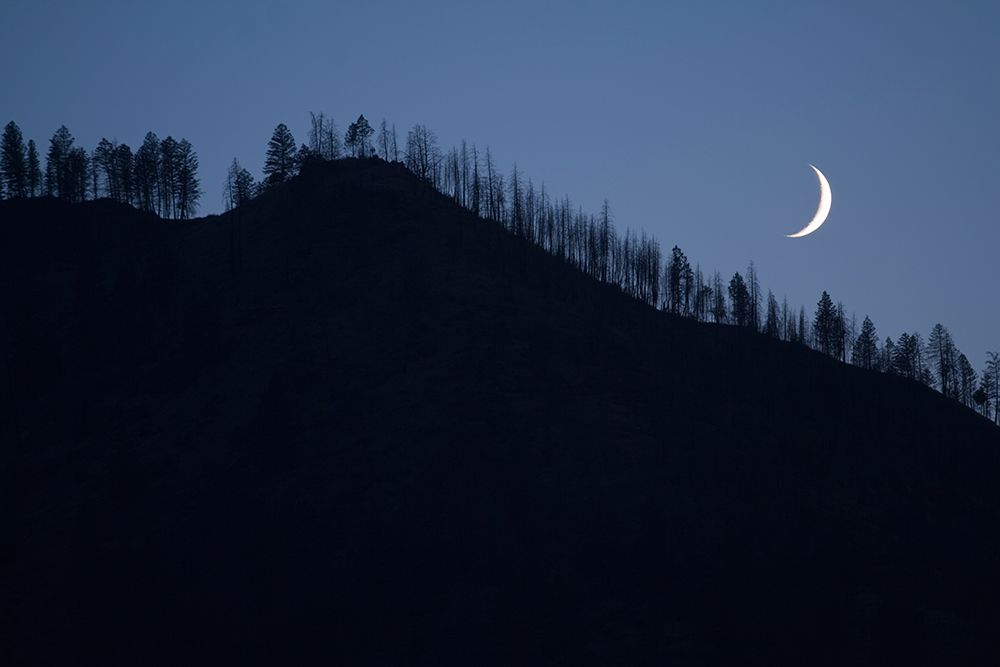 The Crescent Moon Rises Over Tree Line In The Frank Church Wilderness, Idaho. art print by Ethan Welty for $57.95 CAD