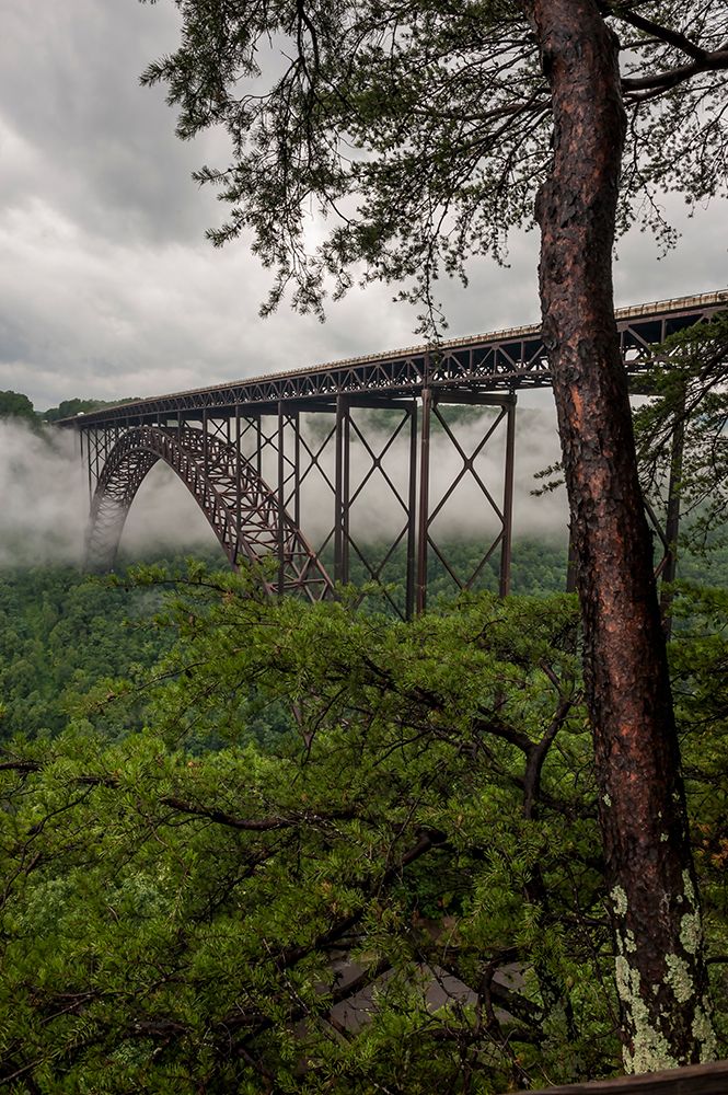 New River Gorge Bridge In Fog art print by Beth Wald for $57.95 CAD