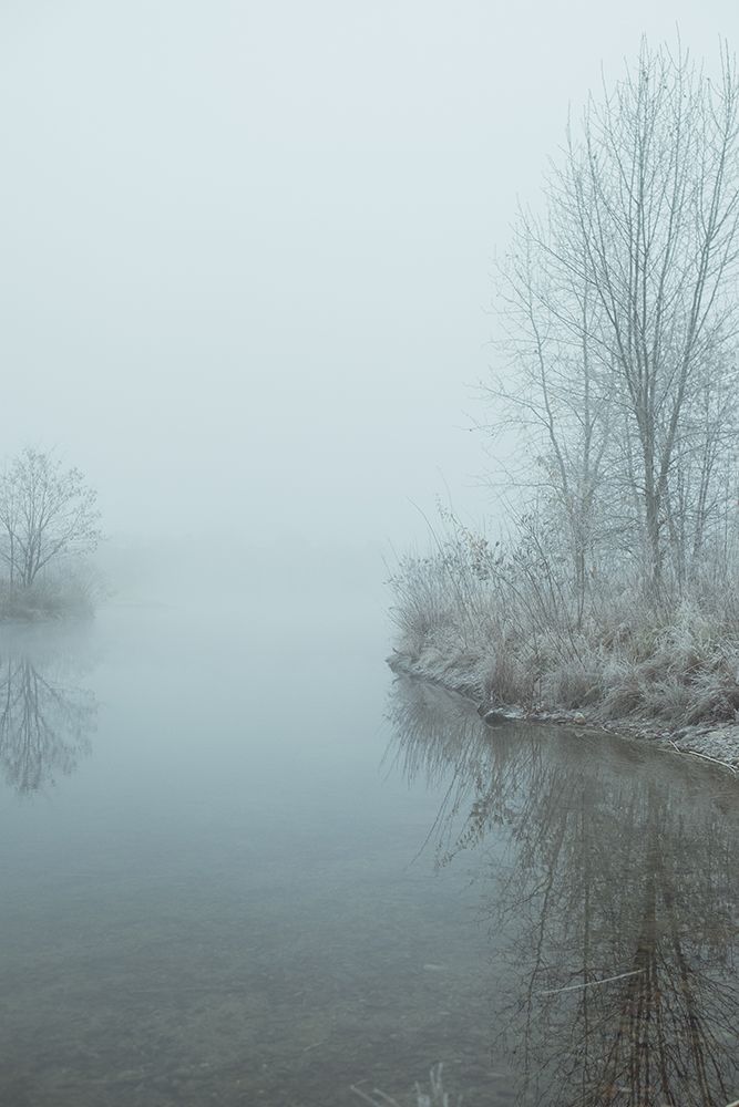 Foggy Winter Morning Along Boise River Greenbelt art print by Aubrey Westlund for $57.95 CAD