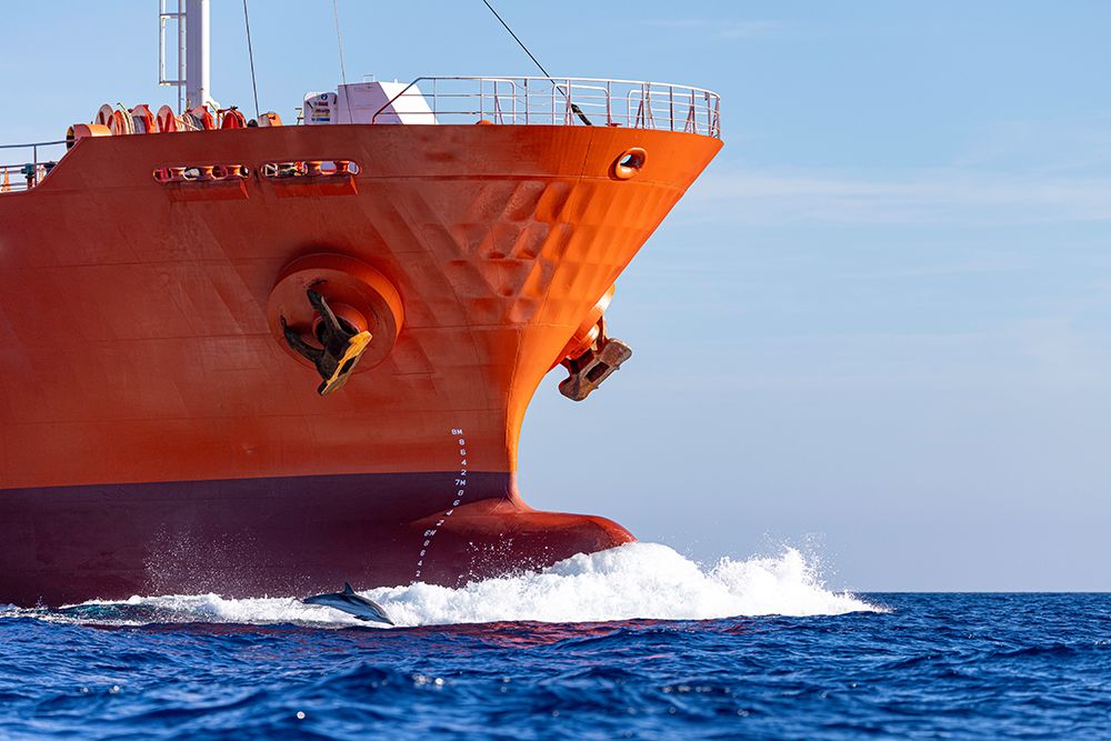 Dolphin Surfacing Beside The Bow Of A Giant Orange Cargo Ship art print by Raffi Maghdessian for $57.95 CAD