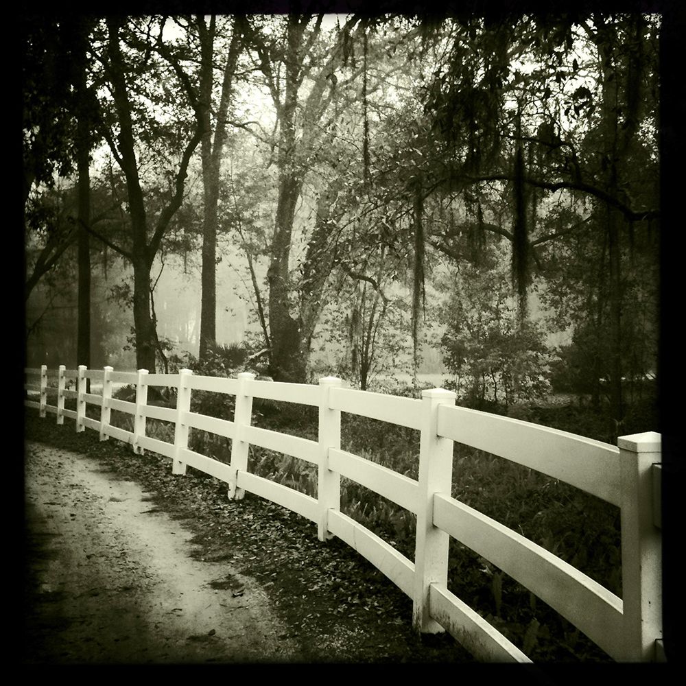 Black And White Image Of White Fence And Pathway art print by Dorine Losasso for $57.95 CAD