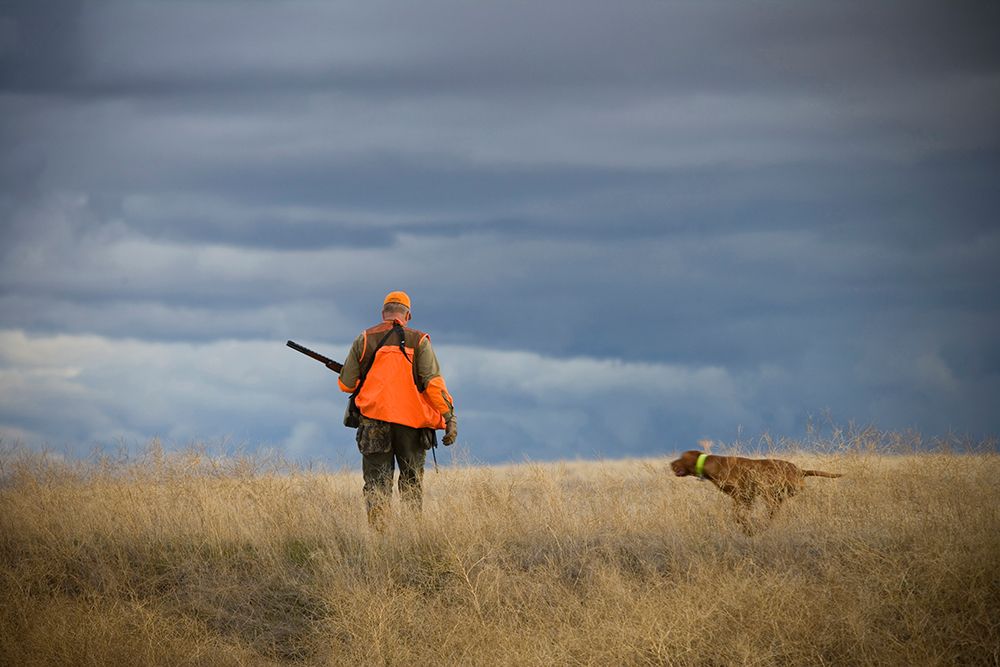 A Pheasant Hunter With His Dog In Washington State. art print by Earl Harper for $57.95 CAD