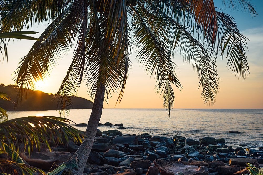 Sunset Over Rocky Shore With Palm Tree, Haad Na Lay, Koh Kood art print by Agita Captures for $57.95 CAD