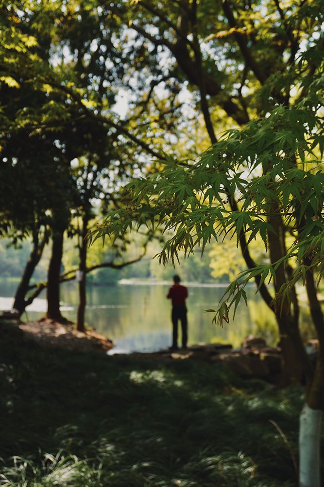 A Man Stands By The Hangzhou Lake art print by Nicole Oleinik for $57.95 CAD