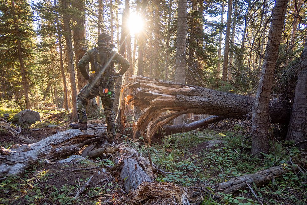 Explore The Wilderness: Adventurer In Forest At Sunrise art print by Max Seigal for $57.95 CAD