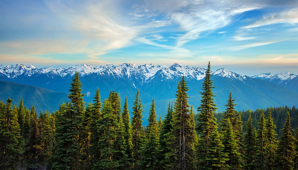 Explore Breathtaking Beauty Of Snow-Capped Mountains And Evergreen Forests: Perfect Scenic Lap art print by Max Seigal for $57.95 CAD