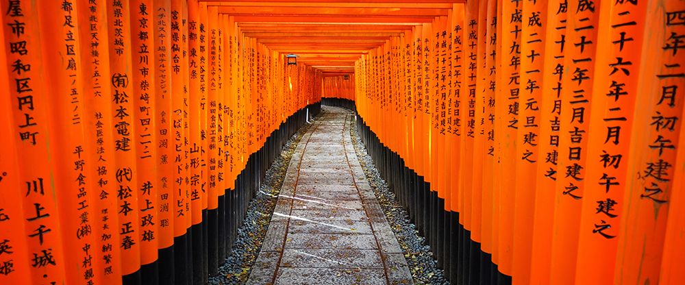 Explore The Majestic Fushimi Inari Shrine: Iconic Red Torii Gates In Kyoto art print by Max Seigal for $57.95 CAD
