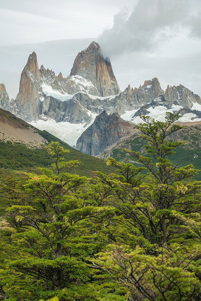 Explore Majestic Patagonia: Stunning View Of Fitz Roy Mountain Peaks And Lush Forest Adventurers art print by Max Seigal for $57.95 CAD