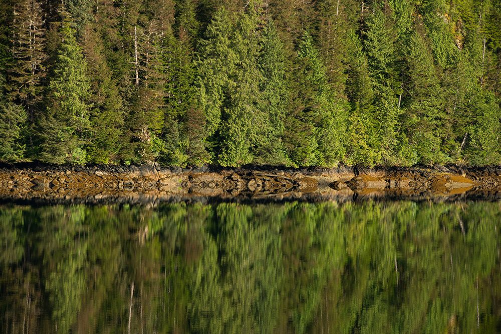 Explore The Tranquil Beauty Of A Forest Reflection On A Calm River - A Perfect Nature Retreat art print by Max Seigal for $57.95 CAD