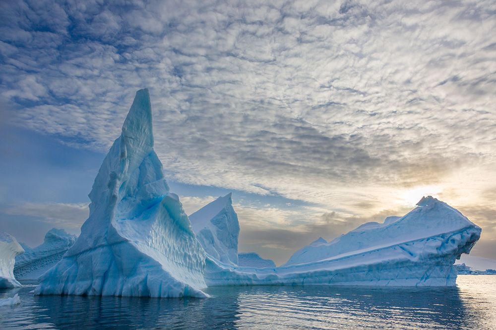 Sculpted Icebergs, Port Charcot, Antarctica. art print by Patrick J Endres for $57.95 CAD