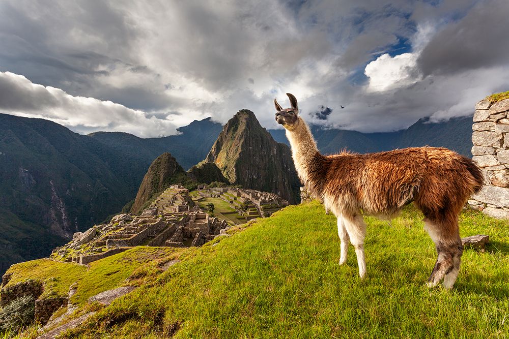 Machu Picchu, The Ancient \Lost City Of The Incas\, Peak Of Huaynapicchu In The Distance, Peru art print by Patrick J Endres for $57.95 CAD