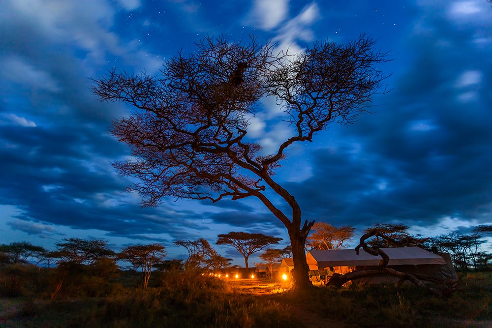 Luxury Mobile Tented Camp, Serengeti National Park, Tanzania, East Africa art print by Patrick J Endres for $57.95 CAD