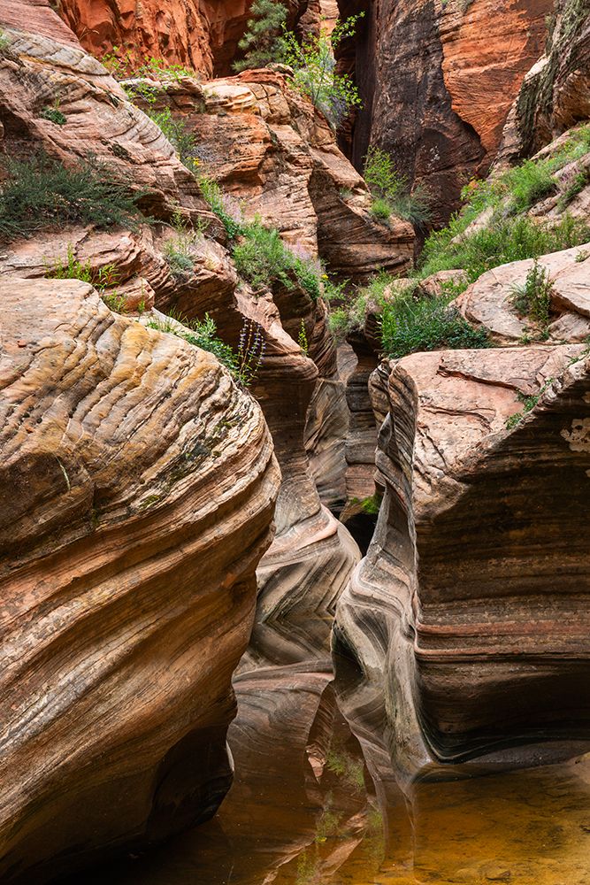 Slot Canyon On The East Rim Trail, Zion Canyon National Park, Utah art print by Patrick J Endres for $57.95 CAD