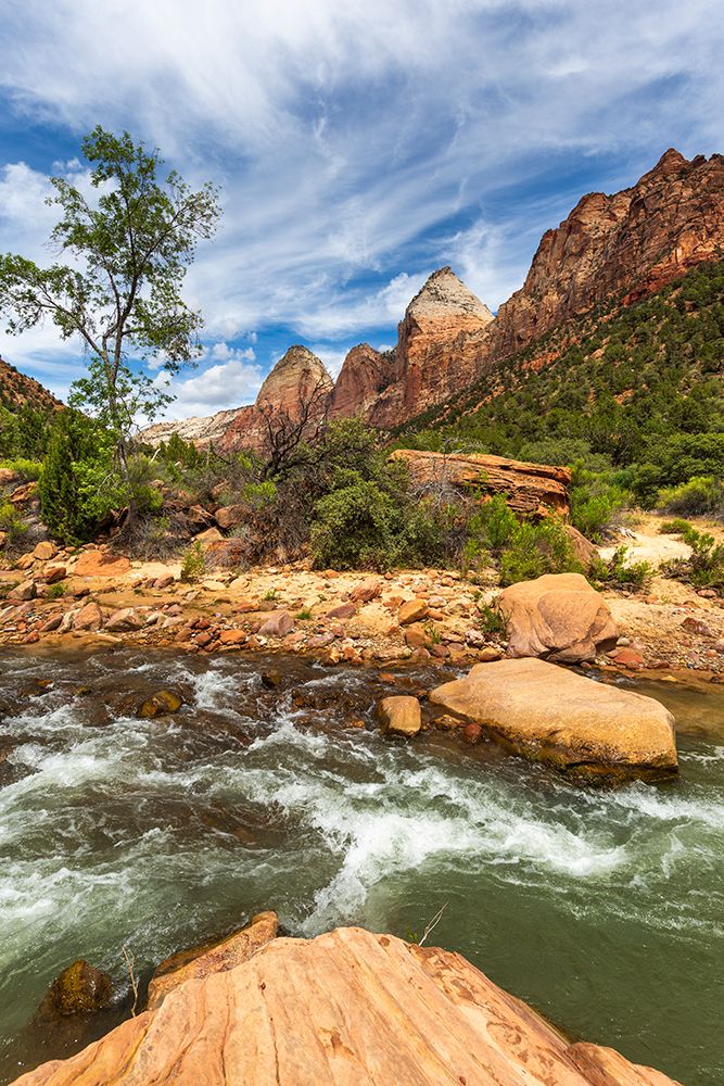 Virgin River, Zion Canyon National Park, Utah art print by Patrick J Endres for $57.95 CAD