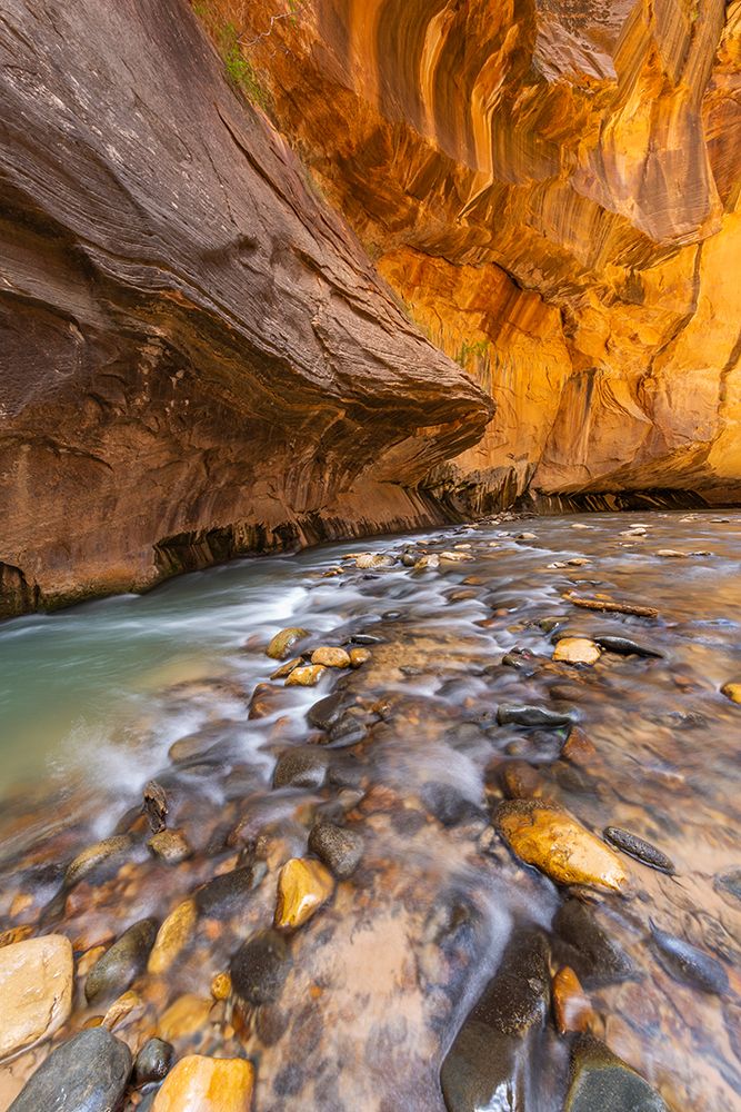 The Narrows Slot Canyon, Zion Canyon National Park, Utah art print by Patrick J Endres for $57.95 CAD
