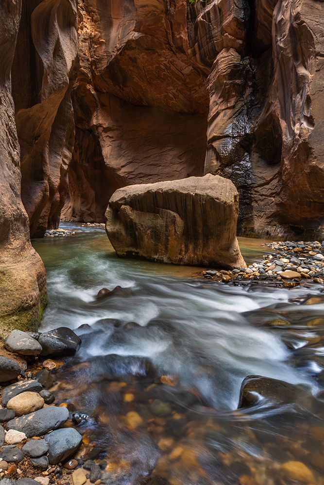The Narrows Slot Canyon, Zion Canyon National Park, Utah art print by Patrick J Endres for $57.95 CAD