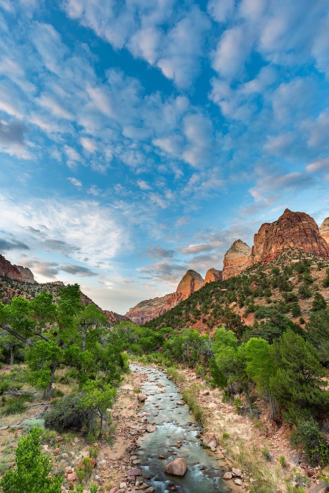 Landscape Of The Virgin River, Zion Canyon National Park, Utah art print by Patrick J Endres for $57.95 CAD