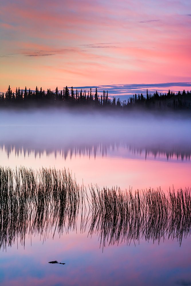 Morning Fog At Sunrise Over Willow Lake, Southcentral, Alaska. art print by Patrick J Endres for $57.95 CAD