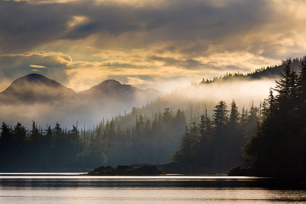 Coastal Shore Along Western Prince William Sound, Chugach National Forest, Alaska. art print by Patrick J Endres for $57.95 CAD