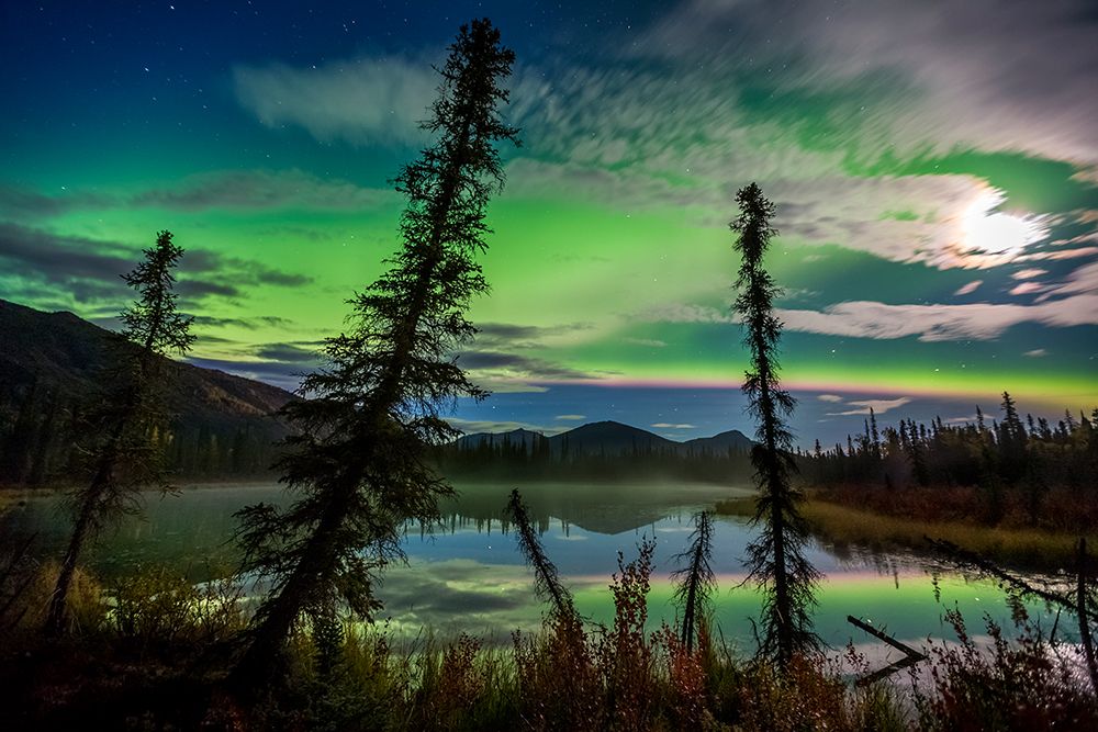 Aurora Borealis (Northern Lights) Over Small Taiga Pond In Brooks Range Mountains, Arctic, Alaska. art print by Patrick J Endres for $57.95 CAD