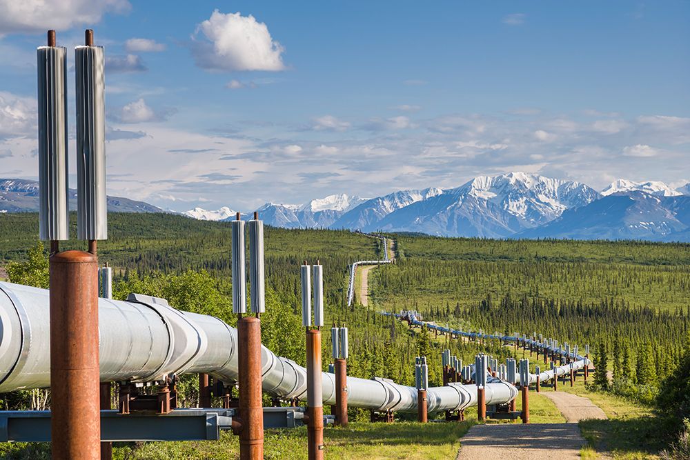 Trans Alaska Oil Pipeline Traverses The Tundra In The Alaska Range, South Of Delta Junction, Alaska. art print by Patrick J Endres for $57.95 CAD