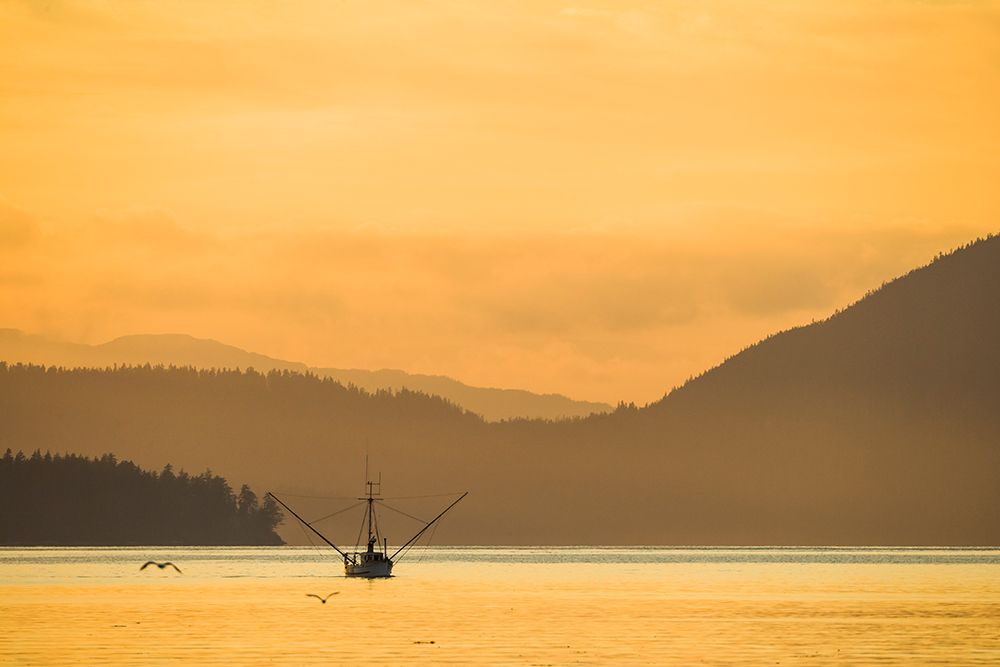 Commercial Fishing Trolling Vessel In The Sitka Channel, Baranof Island, Southeast Alaska. art print by Patrick J Endres for $57.95 CAD