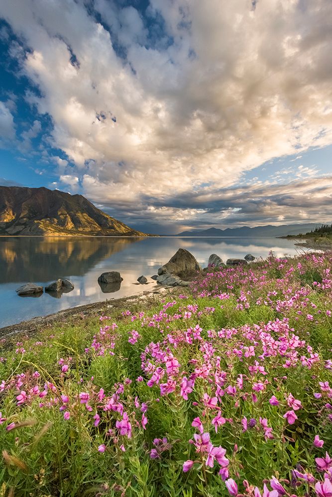 Kluane Lake And Sheep Mountain Area In Kluane National Park art print by Patrick J Endres for $57.95 CAD