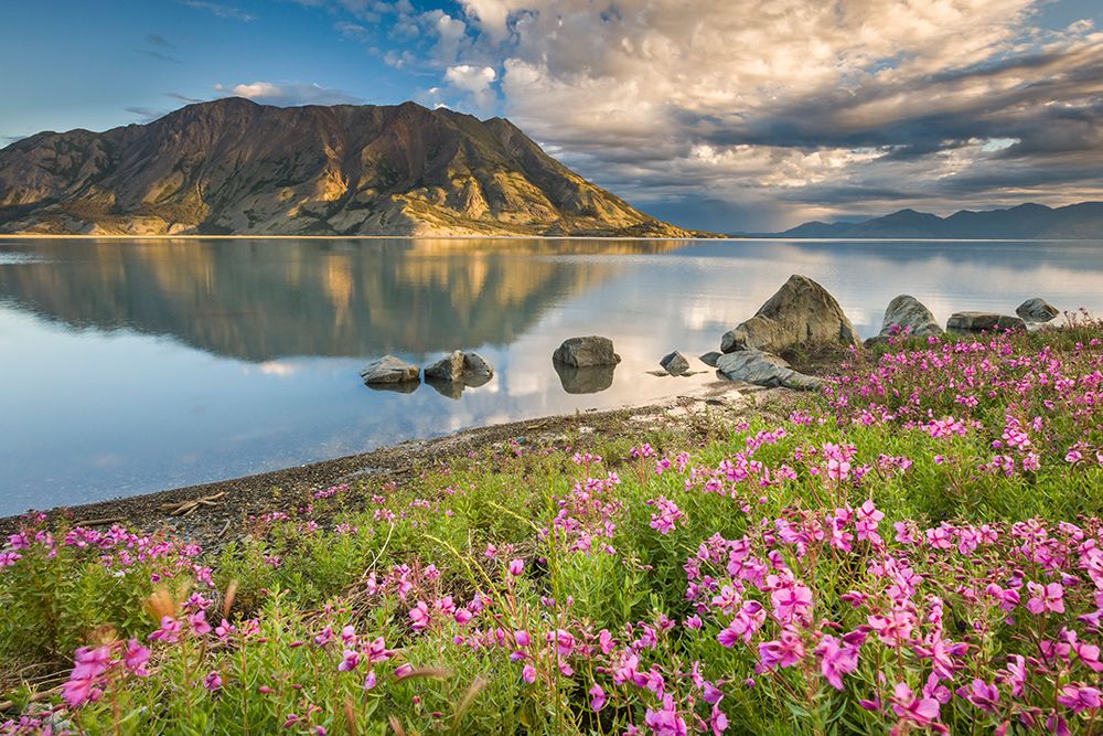 Kluane Lake And Sheep Mountain Area In Kluane National Park art print by Patrick J Endres for $57.95 CAD