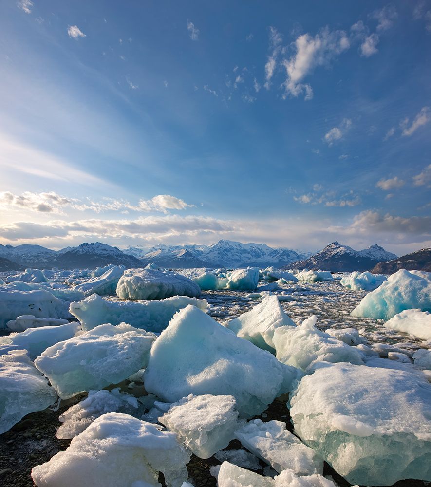 Stranded Icebergs From Columbia Glacier Fill Columbia Bay In Northern Prince William Distance. art print by Patrick J Endres for $57.95 CAD