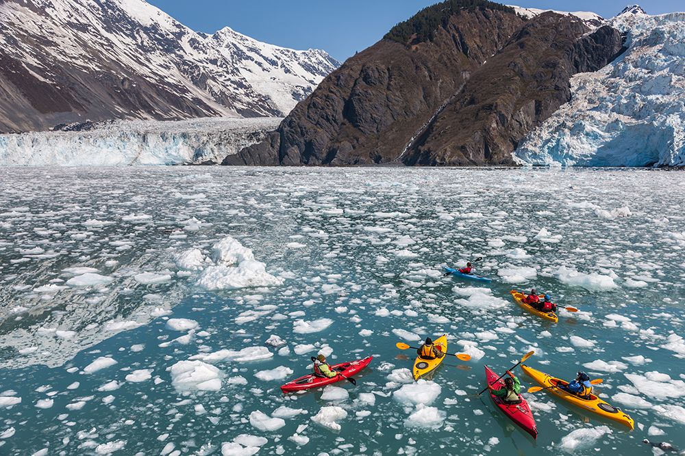 Kayakers In Icebergs From Cascade, Barry And Coxe Glaciers In Barry Arm, Northern Prince Alaska. art print by Patrick J Endres for $57.95 CAD