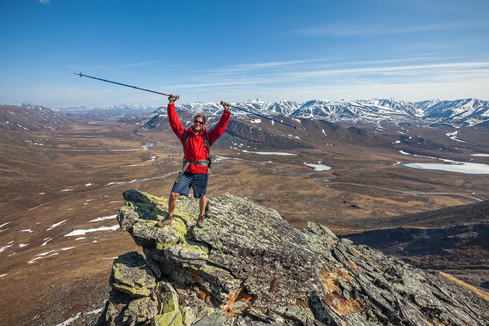 Angus Rose On A Mountain Ridge Of The Brooks Range, Gates Of The Arctic National Park, Alaska. art print by Patrick J Endres for $57.95 CAD