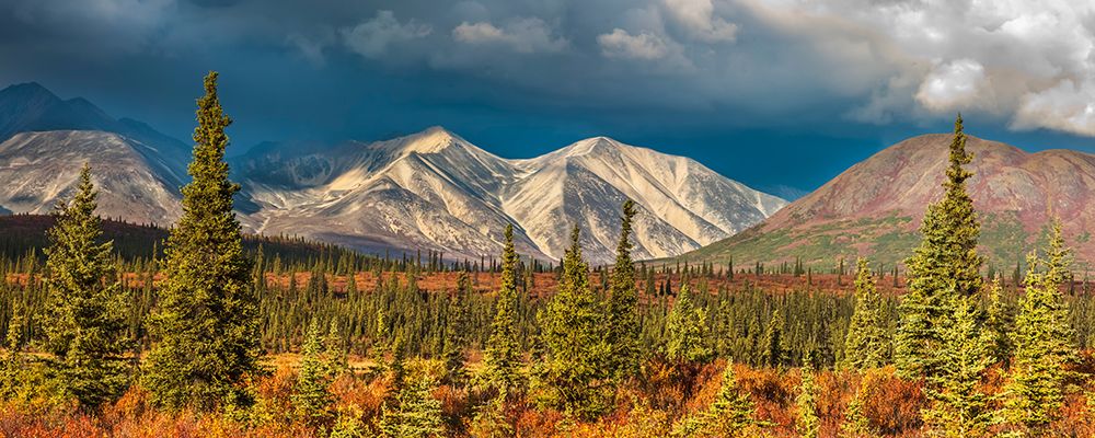 Autumn Colors On The Tundra And Taiga Along The Denali Highway, Alaska Range, Interior, Alaska. art print by Patrick J Endres for $57.95 CAD