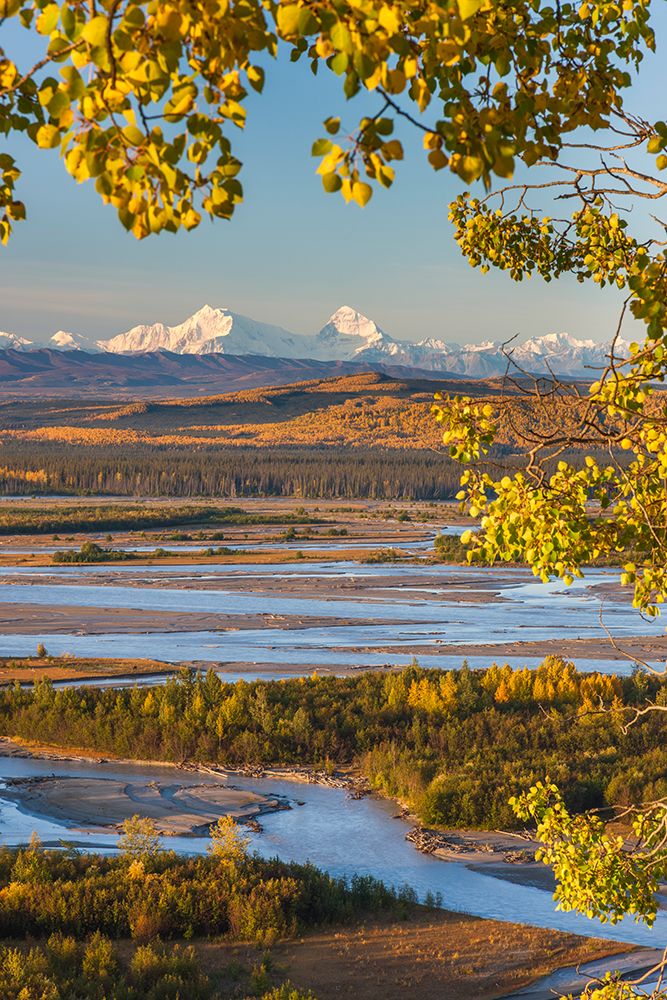 Mt. Hess And Mt. Deborah, Alaska Range, Tanana River Foreground, Interior Alaska art print by Patrick J Endres for $57.95 CAD