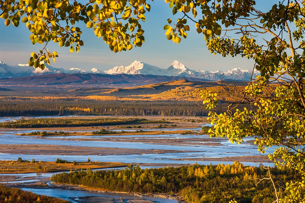 Mt. Hess And Mt. Deborah, Alaska Range, Tanana River Foreground, Interior Alaska art print by Patrick J Endres for $57.95 CAD