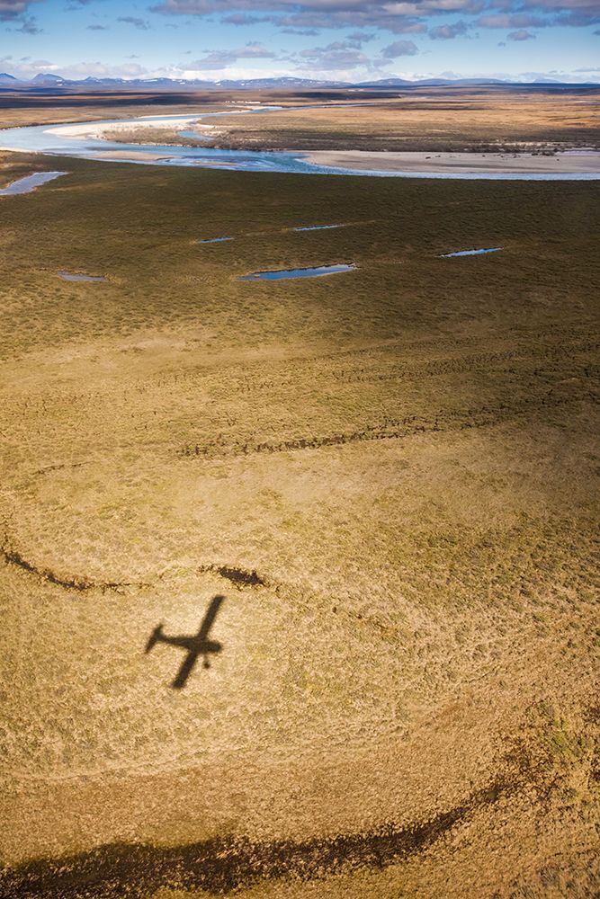Shadow Of De Havilland Beaver Bush Plane Falls On The Tundra In The Noatak Preserve, Arctic, Alaska. art print by Patrick J Endres for $57.95 CAD