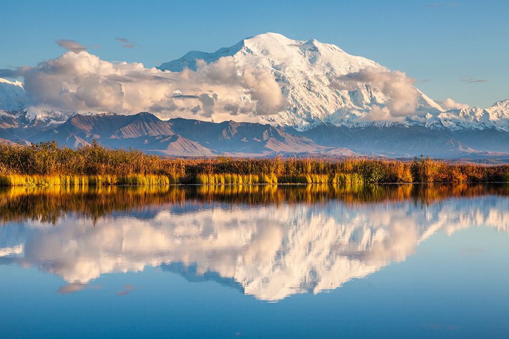Denali Reflects In A Small Tundra Pond With Lily Pads, Sunset In Denali National Park, Alaska. art print by Patrick J Endres for $57.95 CAD