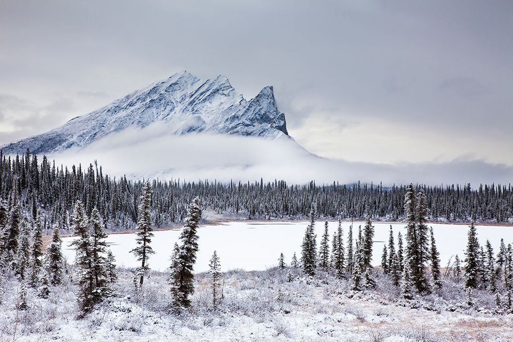 Snow Covered Mt. Sukakpak, Brooks Range, Alaska. art print by Patrick J Endres for $57.95 CAD