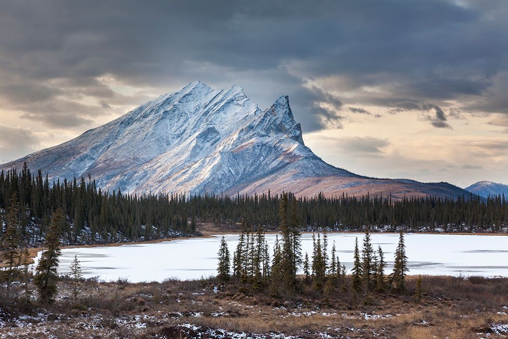 Mt. Sukakpak And A Small Tundra Pond In The Brooks Range, Arctic Alaska. art print by Patrick J Endres for $57.95 CAD
