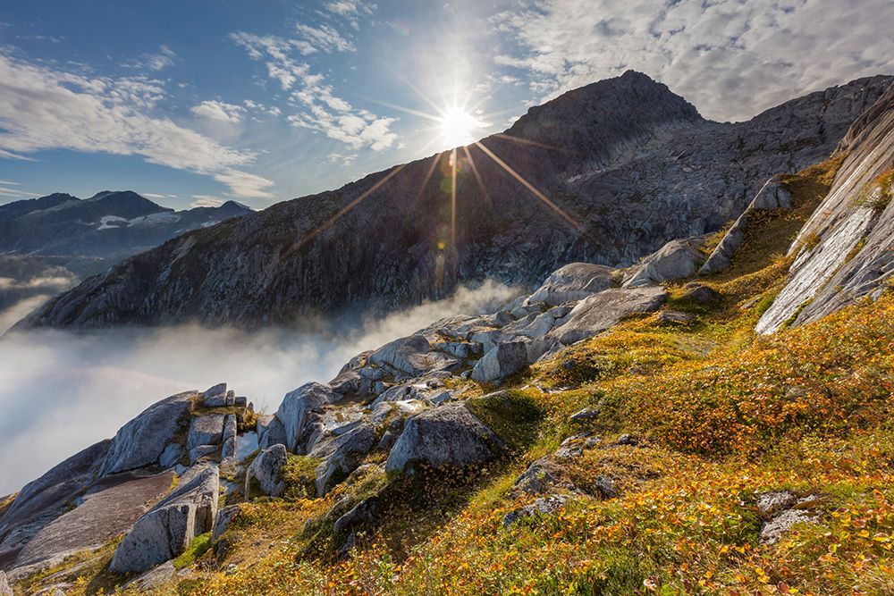 Granite Mountain Ridges Of Western Prince William Sound, View To South Of Sargent Ice Field, Alaska. art print by Patrick J Endres for $57.95 CAD