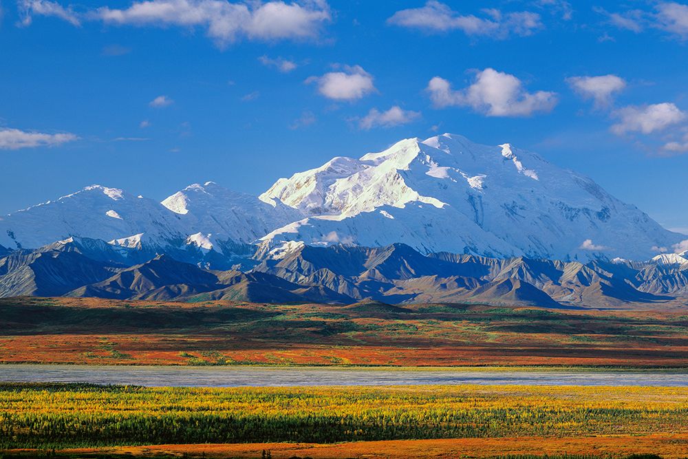 North Face Of 20,310 Ft. Denali Autumn Tundra And Mckinley River Bar, Denali National Park, Alaska. art print by Patrick J Endres for $57.95 CAD
