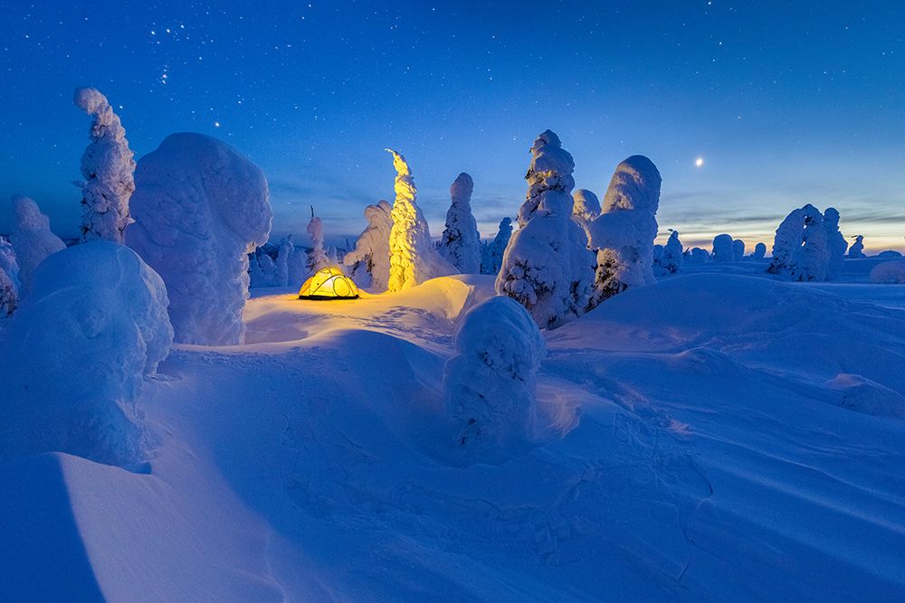 Glowing Yellow Tent On The Snow In The Boreal Forest, Interior, Alaska. art print by Patrick J Endres for $57.95 CAD
