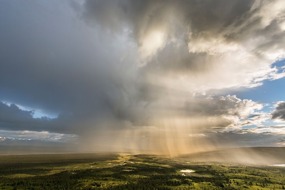 Weather Rain Squalls Over Tundra, Denali National Park, Interior, Alaska art print by Patrick J Endres for $57.95 CAD